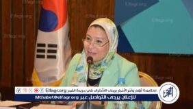 عين شمس 15 أبريل  رؤى التغيير: اتجاهات جديدة في الأدب واللغة والترجمة
