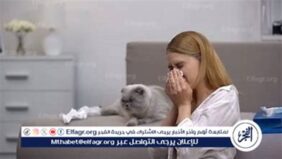 حساسية القطط.. أسبابها وأعراضها وطرق العلاج الفعالة