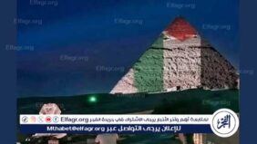 حقيقة إضاءة الأهرامات بعلم فلسطين: توضيح رسمي يكشف الحقيقة