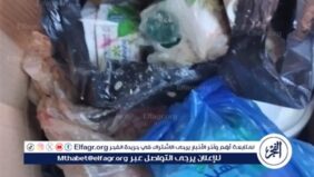 تموين غرب والجمرك بالإسكندرية يضبط كميات مواد غذائية فاسدة ومنتهية الصلاحية