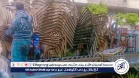 إزالة 859 إشغالًا وضبط المخالفين.. بحملات مكثفة بمحافظة الإسكندرية