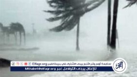 حالة الطقس اليوم الأحد 16 فبراير 2025: استمرار ارتفاع درجات الحرارة وتحذيرات من الشبورة والأمطار