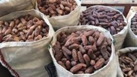 ضبط طن ونصف بلح غير صالح للاستهلاك الآدمي بالقليوبية