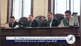 المؤبد لعامل ونجار لاتهامهم بهتك عرض طليقة الأول في الإسكندرية