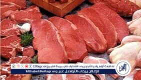 أسعار اللحوم البلدي والكندوز اليوم الاربعاء 12-3-2024 في الأسواق ومحال الجزارة بقنا