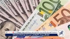 أسعار العملات اليوم الأربعاء 12 فبراير 2025 في بنك مصر