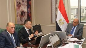 وزير الكهرباء يبحث تعزيز التعاون مع الشركات الصينية في مجال الطاقة المتجددة