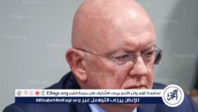نيبينزيا: هناك فرصة لانتهاء المرحلة الساخنة من النزاع الأوكراني