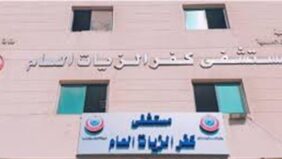عاجل- سقوط أسانسير بمسؤولين بارزين داخل مستشفى كفر الزيات ( تفاصيل مثيرة)
