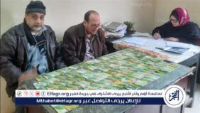 ضبط أكثر من 9 طن سماد ومنتجات وسلع متنوعة وتحرير 204 مخالفة بالدقهلية