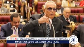 وكيل  الشيوخ  يطالب بإصدار تشريعات تحفز الشركات الناشئة وتقديم إعفاءات ضريبية لها