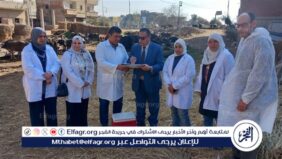 محافظ الدقهلية: تحصين 46440 رأس أبقار وأغنام ضد مرض الجلد العقدي وجدري الأغنام