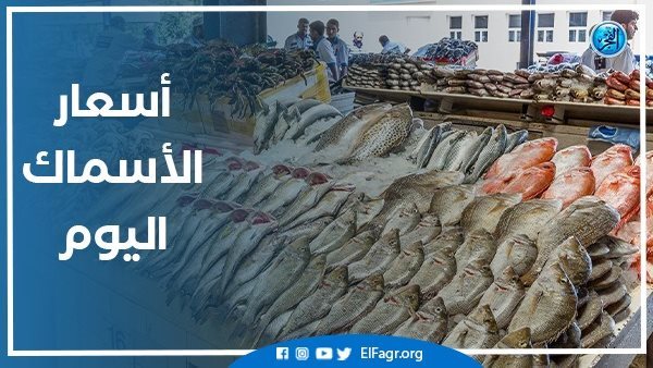 أسعار الأسماك اليوم الأربعاء 5-2-2025 في محافظة البحيرة