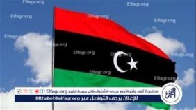 الجيش الليبي يعلن نجاح عملية واسعة ضد المرتزقة والمهربين