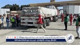 تحرك 150 شاحنة مساعدات إنسانية إلى قطاع غزة عبر معبري العوجة وكرم أبو سالم