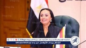 التضامن الاجتماعي: فريق التدخل السريع يتعامل مع 1846 بلاغًا خلال يناير بنسبة إنجاز 100%