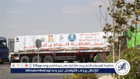 عاجل- المشهد الأكبر لدعم غزة.. مصر ترسل قوافل إغاثية ضخمة بحضور سياسي وفني بارز ( تفاصيل)