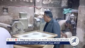 محافظ الدقهلية في جولة صباحية: التوجيه لرئيس شرق بتكثيف أعمال النظافة وللتموين بالتأكد من وزن الرغيف