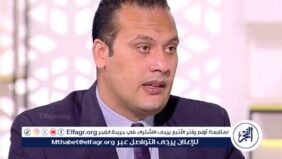 محمد القرش: الصادرات الزراعية المصرية تسجل رقمًا قياسيًا بلغ 8.6 مليون طن
