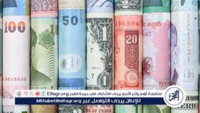 أسعار العملات الاجنبية والدولار أمام الجنيه المصري اليوم الثلاثاء 11-2-2025 في البنك المركزي