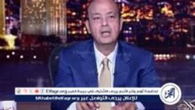 عمرو أديب عن الموقف المصري من القضية الفلسطينية: الشريف لا يختبر