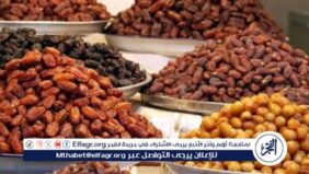 تعرف على أسعار البلح والتمور بمعارض أهلا رمضان في محافظة قنا