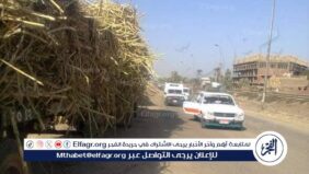 عود قصب.. يؤدى لمصرع طالب أسفل عجلات جرار زراعي بمركز جرجا بسوهاج