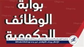 وظائف حكومية جديدة 2025: فرص عمل في الجهاز الإداري للدولة مع شروط وضوابط ميسرة