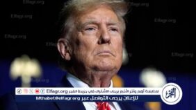 ترامب: نريد ضمان أمن المعادن الأرضية النادرة في أوكرانيا