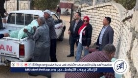 تموين الإسماعيلية يضبط 4 أطنان ونصف دقيق بلدي مدعم بأحد المخازن قبل تداوله بالأسواق