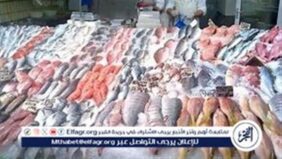 أسعار المأكولات البحرية والجمبري اليوم الجمعة 14-2-2025 في محافظة الدقهلية