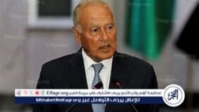 أبو الغيط: لا يمكن قبول خطط إخلاء أراضي فلسطين التاريخية من سكانها