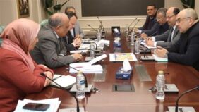 وزيرا الكهرباء والطاقة المتجددة، وقطاع الأعمال العام يبحثان سبل التعاون في مجال الطاقة المتجددة والتحول الأخضر.