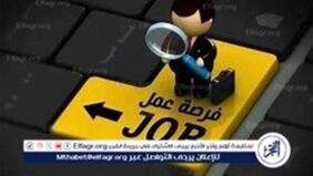 وزارة العمل المصرية تفتح باب التقديم لفرص عمل في لبنان بمرتبات تصل إلى 750 دولار شهريًا