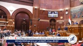 غدًا.. الشيوخ يحيل تقارير اللجان النوعية إلى الحكومة لتنفيذ التوصيات (تفاصيل)