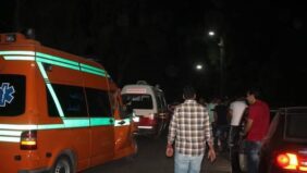 كلاب مسعوره  تعقر 15 شخصًا في حوش عيسي بالبحيرة