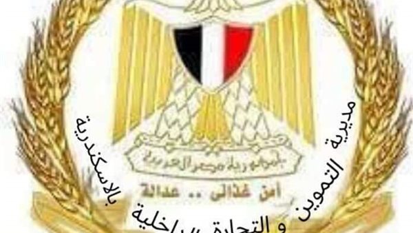 بـ 203 تصريح.. مديرية تموين الإسكندرية تتابع سير الاوكازيون الشتوي