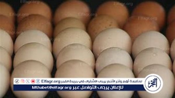 أسعار البيض اليوم الجمعة 14-2-2025 في الدقهلية