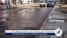 خفيفة إلى متوسطة.. سقوط أمطار على غرب محافظة الإسكندرية
