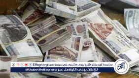 موعد زيادة المرتبات في 2025 ورفع الحد الأدنى للأجور في مصر
