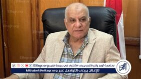 تجارية الإسماعيلية تعلن مد فترة الترشح لعضوية 15 شعبة لمدة شهر