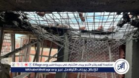 ازالة بناء مخالف في عقار بالمنصورة..صور