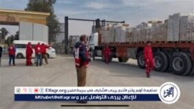عبور 235 شاحنة مساعدات إنسانية إضافة إلى 24 شاحنة وقود وغاز تجاه معبري العوجة وكرم أبو سالم تمهيدا لإرسالها إلى غزة