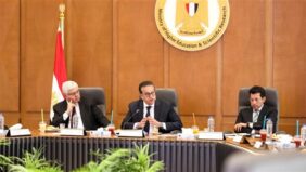 الصحة  و الشباب والرياضة  يبحثان مشروع الجينوم المرجعي للمصريين