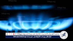 الجزائر ونيجيريا والنيجر توقع اتفاقيات لتسريع إنجاز مشروع الغاز العابر للصحراء