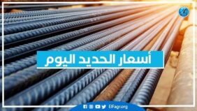 أسعار الحديد اليوم الأربعاء 5-2-2025 في محافظة البحيرة