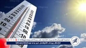 استمرار التقلبات الجوية وتحذير الأرصاد من الشبورة..تعرف على أحوال الطقس غدًا الإثنين