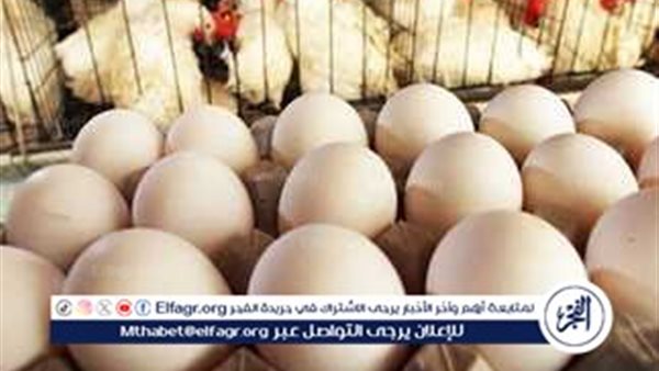 اسعار الدواجن اليوم الجمعة 7-2-2025 في الدقهلية