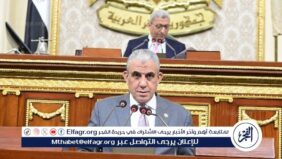 مجلس النواب يٌقر اختصاصات المحاكم العمالية بقانون العمل الجديد