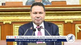 زراعة النواب  توصي بتوفير الأسمدة للمساحات الأكبر من 25 فدانًا وتشكيل لجان تفتيش مفاجئة